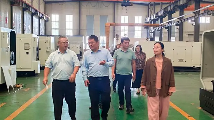 Transmarinas clients visita Qiansheng gravis Industry Factory ad De-Site Inspection